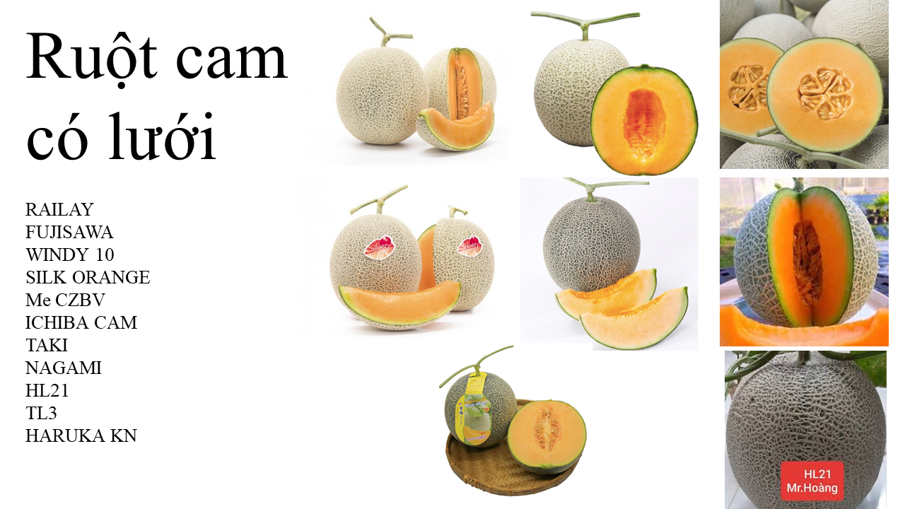 types-of-melon